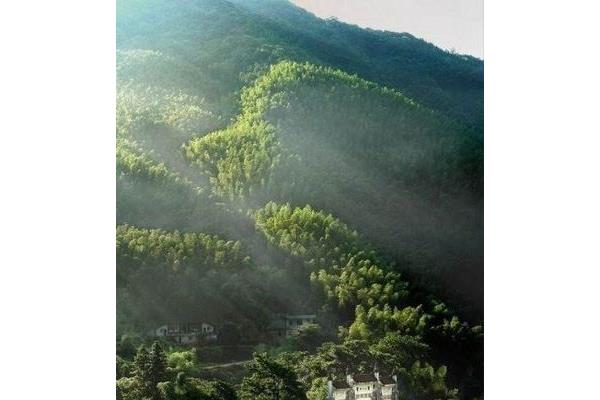 Ȼo(h)^(q)湥 ؕɽȻo(h)^(q)湥